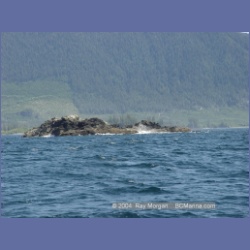 2003_3324_Grassy_Island_Kyuquot_Sound.html