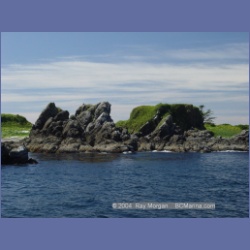 2003_3333_Grassy_Island_Kyuquot_Sound.html