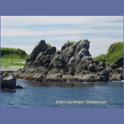 2003_3336_Grassy_Island_Kyuquot_Sound.html