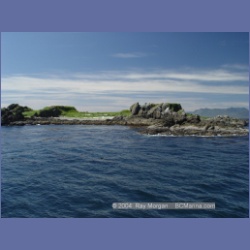 2003_3338_Grassy_Island_Kyuquot_Sound.html
