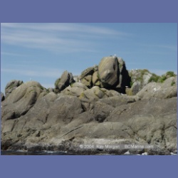 2003_3341_Grassy_Island_Kyuquot_Sound.html