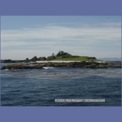 2003_3344_Grassy_Island_Kyuquot_Sound.html