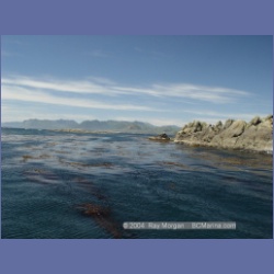 2003_3345_Grassy_Island_Kyuquot_Sound.html