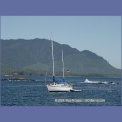 2003_3346_Grassy_Island_Kyuquot_Sound.html
