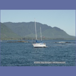 2003_3347_Grassy_Island_Kyuquot_Sound.html