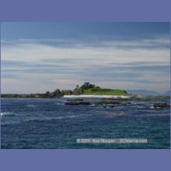 2003_3349_Grassy_Island_Kyuquot_Sound.html