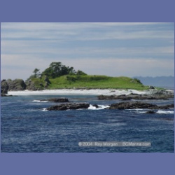2003_3350_Grassy_Island_Kyuquot_Sound.html