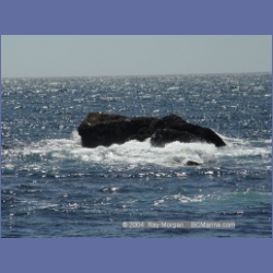 2003_3351_Grassy_Island_Kyuquot_Sound.html