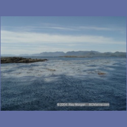 2003_3352_Grassy_Island_Kyuquot_Sound.html