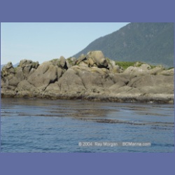 2003_3353_Grassy_Island_Kyuquot_Sound.html