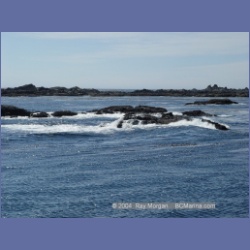 2003_3355_Grassy_Island_Kyuquot_Sound.html