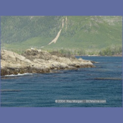 2003_3356_Grassy_Island_Kyuquot_Sound.html
