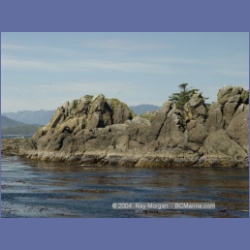 2003_3357_Grassy_Island_Kyuquot_Sound.html