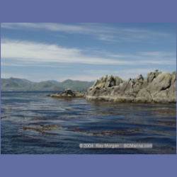 2003_3359_Grassy_Island_Kyuquot_Sound.html