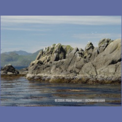 2003_3363_Grassy_Island_Kyuquot_Sound.html
