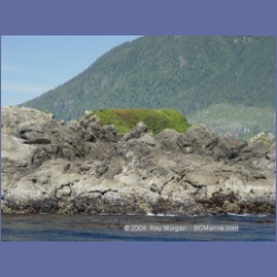2003_3364_Grassy_Island_Kyuquot_Sound.html