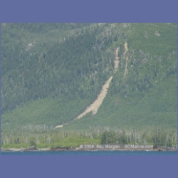 2003_3365_Grassy_Island_Kyuquot_Sound.html