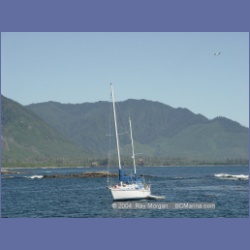 2003_3368_Grassy_Island_Kyuquot_Sound.html
