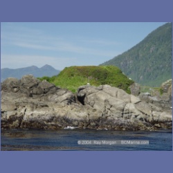 2003_3370_Grassy_Island_Kyuquot_Sound.html