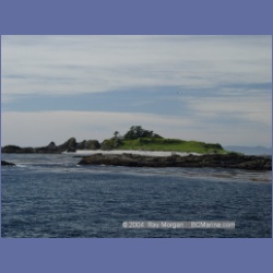 2003_3372_Grassy_Island_Kyuquot_Sound.html