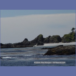 2003_3373_Grassy_Island_Kyuquot_Sound.html