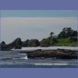 2003_3374_Grassy_Island_Kyuquot_Sound.html