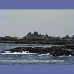 2003_3375_Grassy_Island_Kyuquot_Sound.html
