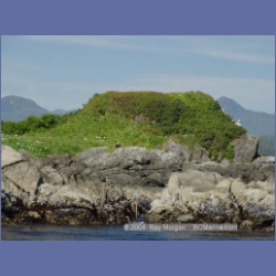2003_3378_Grassy_Island_Kyuquot_Sound.html