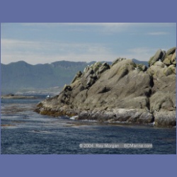 2003_3380_Grassy_Island_Kyuquot_Sound.html