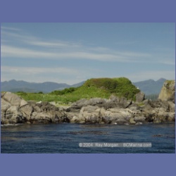 2003_3383_Grassy_Island_Kyuquot_Sound.html