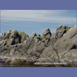 2003_3386_Grassy_Island_Kyuquot_Sound.html