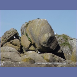 2003_3399_Grassy_Island_Kyuquot_Sound.html