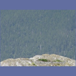 2003_3404_Grassy_Island_Kyuquot_Sound.html