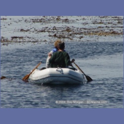 2003_3408_Grassy_Island_Kyuquot_Sound.html