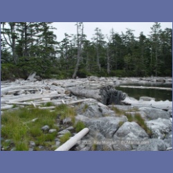 2005_1875_Griffith_Harbour_Banks_Island.html