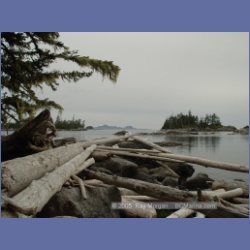 2005_1881_Griffith_Harbour_Banks_Island.html