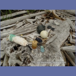 2005_1882_Griffith_Harbour_Banks_Island.html