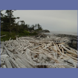 2005_1884_Griffith_Harbour_Banks_Island.html