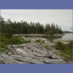 2005_1886_Griffith_Harbour_Banks_Island.html