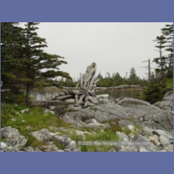 2005_1893_Griffith_Harbour_Banks_Island.html