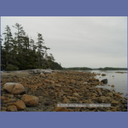2005_1894_Griffith_Harbour_Banks_Island.html