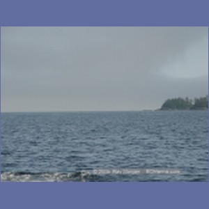 2005_2363_Hardy_Bay_Dolphins.JPG