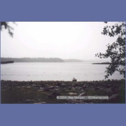 1997_higgins8d.html