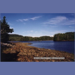 1997_higgins8e.html