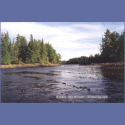1997_higgins8f.html
