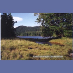 1997_higgins90.html