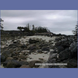 1999_100_Higgins_Passage.html