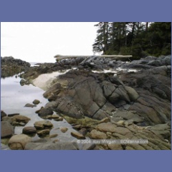 1999_102_Higgins_Passage.html