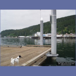 2006_1286_Hoonah_Alaska.JPG