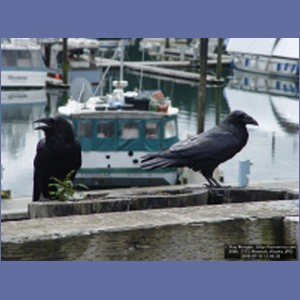 2006_1313_Hoonah_Alaska.JPG